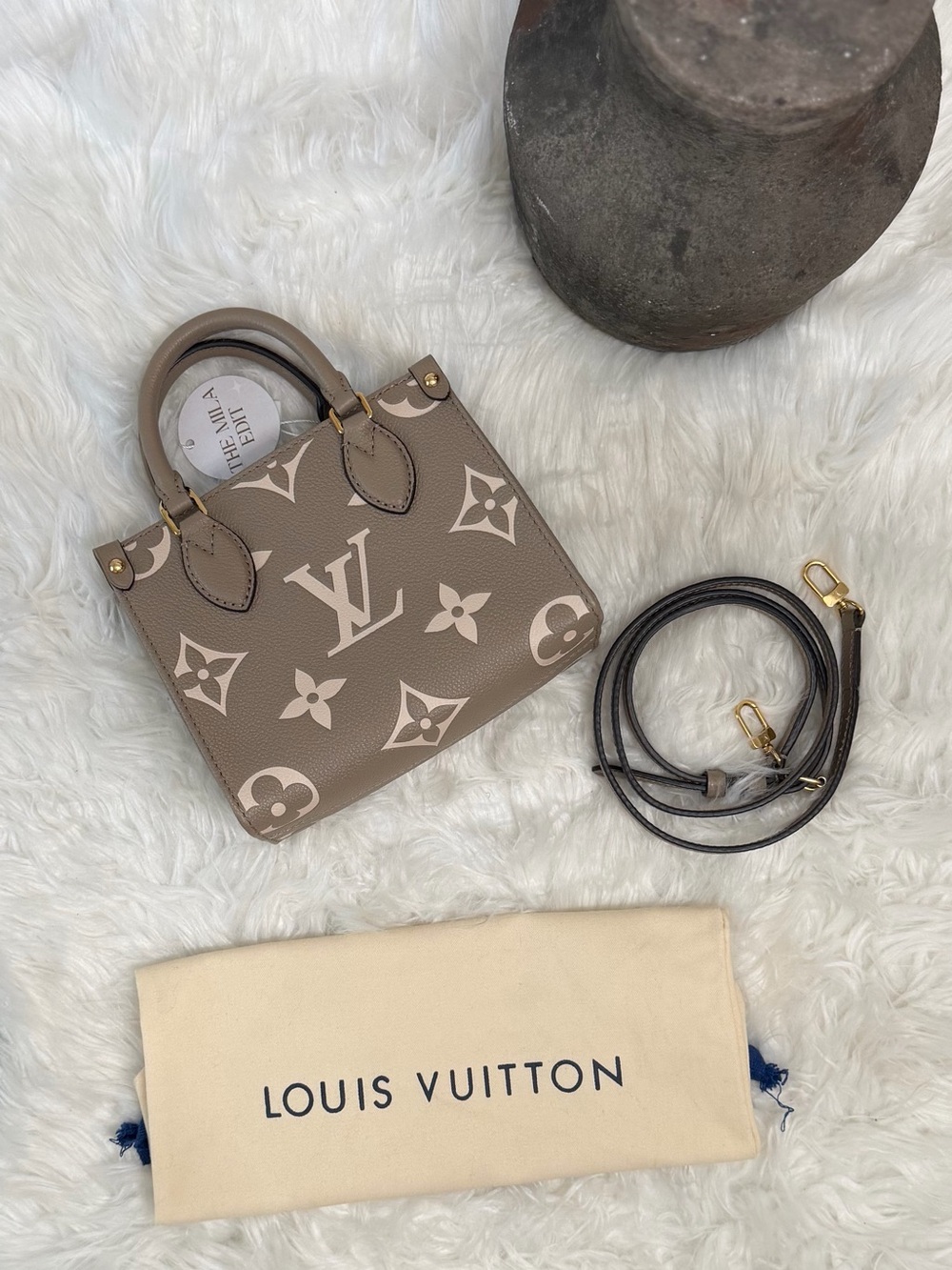 LOUIS VUITTON GIANT FELICIE ON THE GO BB BAG